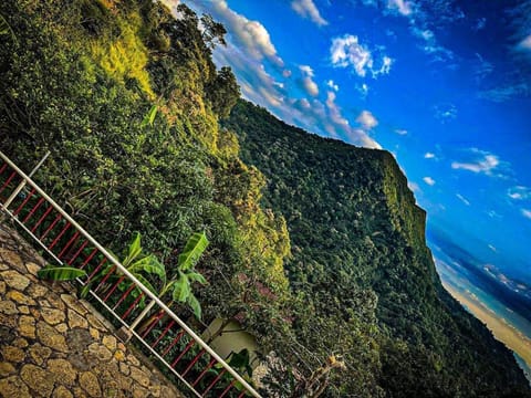 Natural landscape