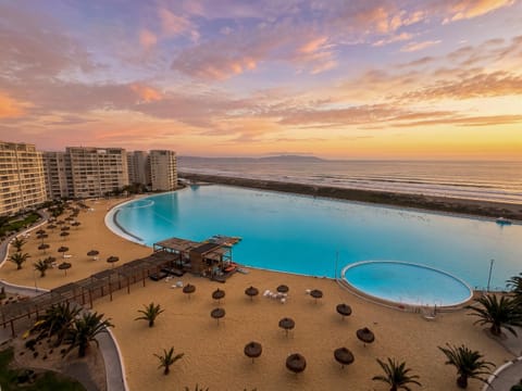 Pool view, Sea view