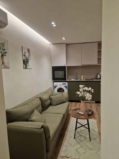Kitchen or kitchenette, Living room, Seating area, Dining area