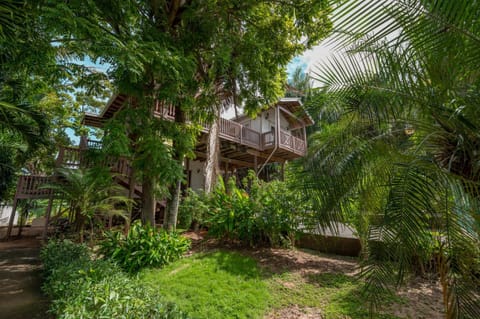 Property building, Day, Garden, Garden view