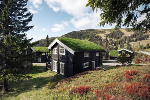 Property building, Day, Natural landscape, Garden
