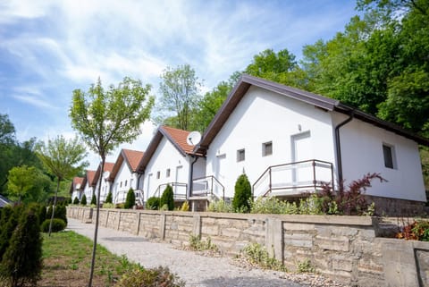 Property building, Day, Garden