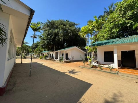 Property building, Day, Natural landscape
