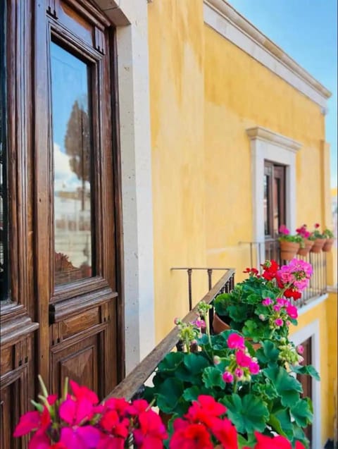 Day, Balcony/Terrace, Garden view