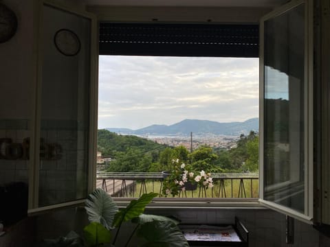 View (from property/room)
