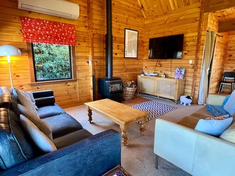 Communal lounge/ TV room, TV and multimedia, Living room, Seating area, air conditioner