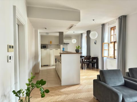 Kitchen or kitchenette, Living room, Seating area, Dining area, oven, stove