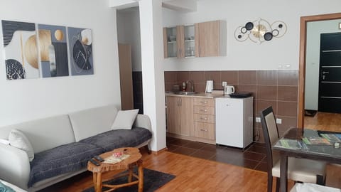 Apartman Andrić Apartment in Zlatibor District, Serbia