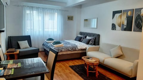 Apartman Andrić Apartment in Zlatibor District, Serbia