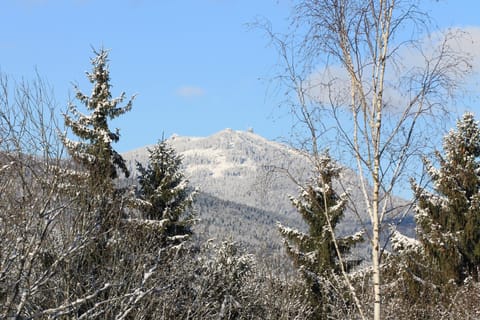 Winter, Mountain view