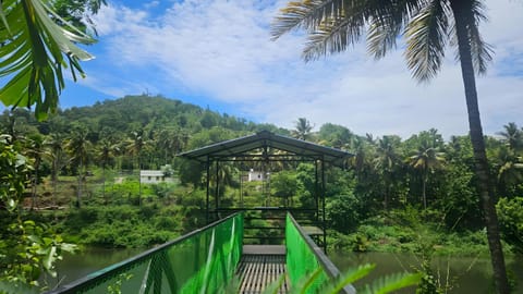 View (from property/room), River view