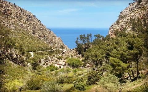 Bird's eye view, Garden, Mountain view, Sea view