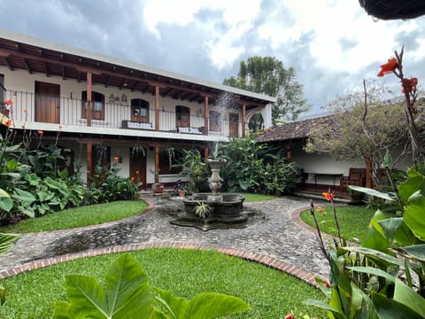 Garden, Garden view, Garden view