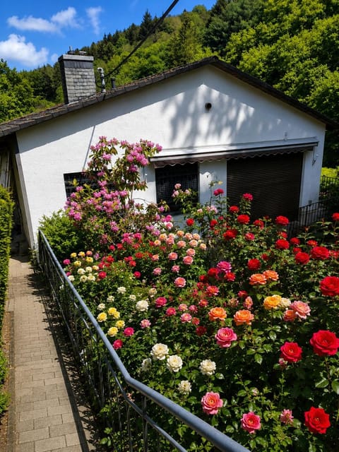 Property building, Facade/entrance, Spring, Garden, Garden, Garden view