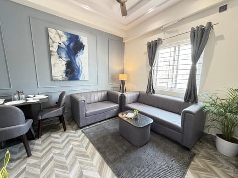 Living room, Decorative detail, Dining area, air conditioner