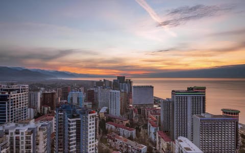 Nearby landmark, Natural landscape, Bird's eye view, City view, Sea view, Sunrise