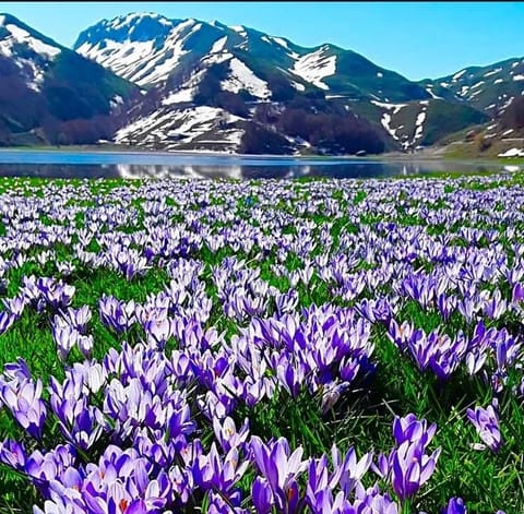 Nearby landmark, Natural landscape, Lake view, Mountain view