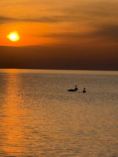 Sea view, Sunset