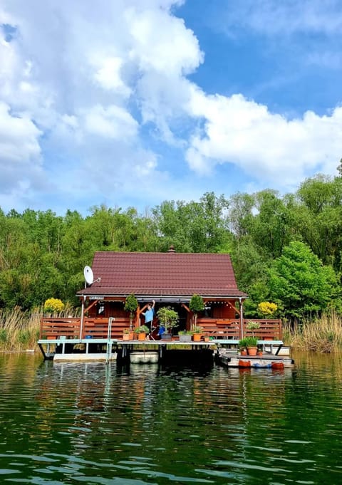 Lake view