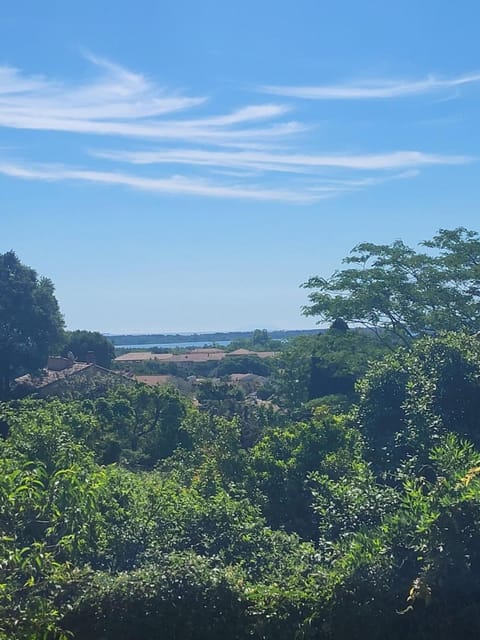Natural landscape