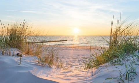 Beach, Sea view, Sunset