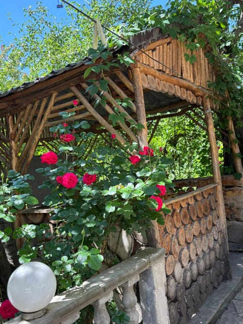 Spring, Day, Garden, Garden view