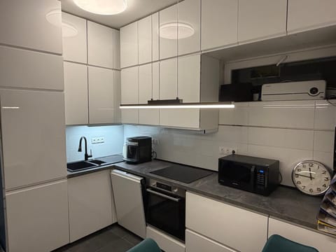 Kitchen or kitchenette, dishwasher