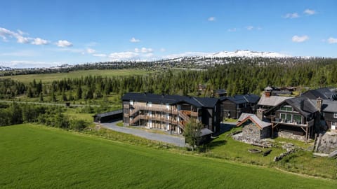 Property building, Bird's eye view