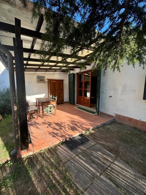 Patio, Garden