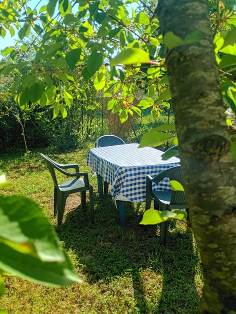 Garden, Garden view, Garden view