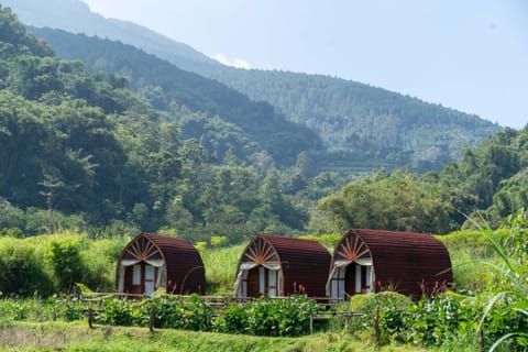 Property building, Natural landscape