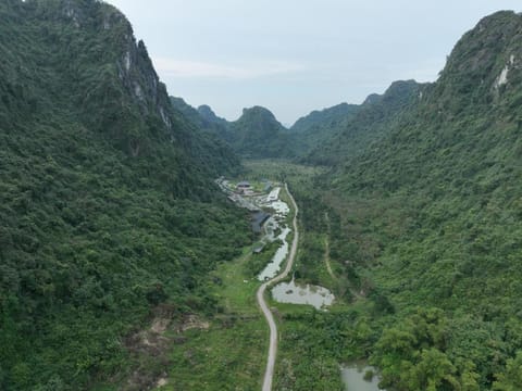 Natural landscape