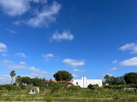 Natural landscape