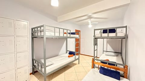 Bed, Photo of the whole room, bunk bed