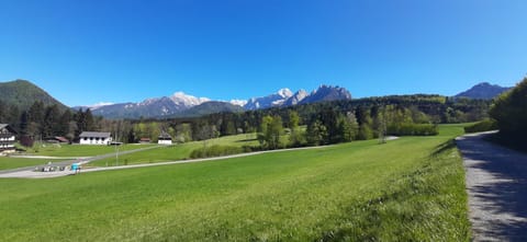 Natural landscape