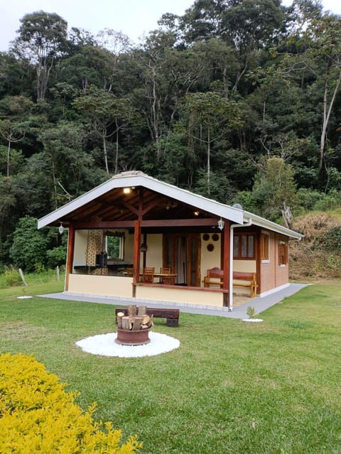 Day, Natural landscape, Garden, Garden view