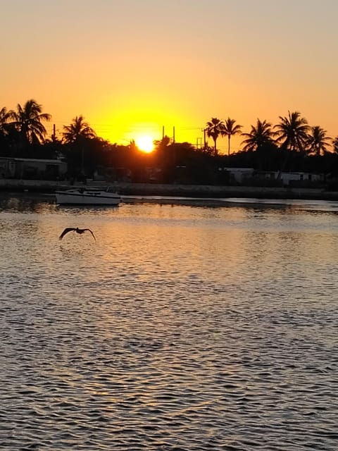Sea view, Sunset