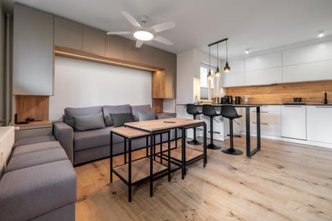 Kitchen or kitchenette, Living room, Seating area, Dining area