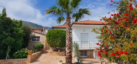 Property building, Garden, Garden view
