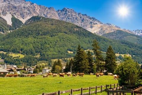 Natural landscape, Mountain view