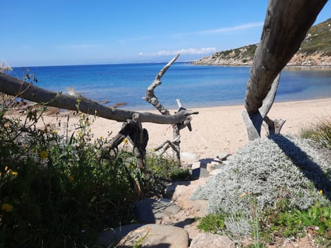 Natural landscape