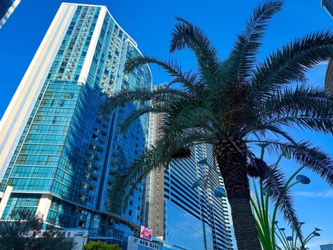 Property building, Day