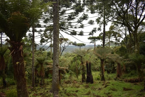 Natural landscape, View (from property/room), Mountain view