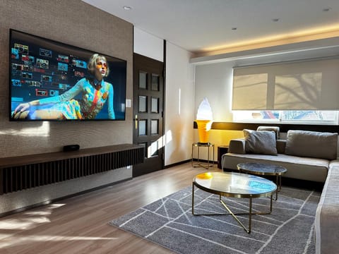 TV and multimedia