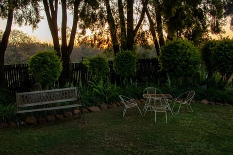 Garden, Garden view, Sunset