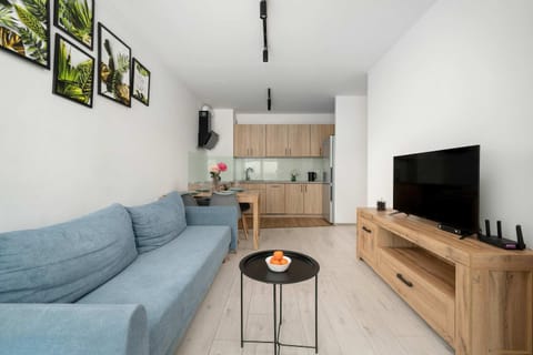 TV and multimedia, Kitchen or kitchenette, Living room, Seating area, Dining area, Evening entertainment
