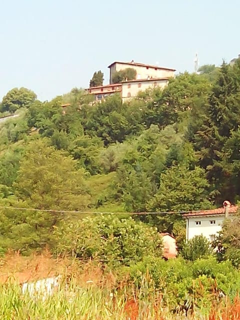 View (from property/room)