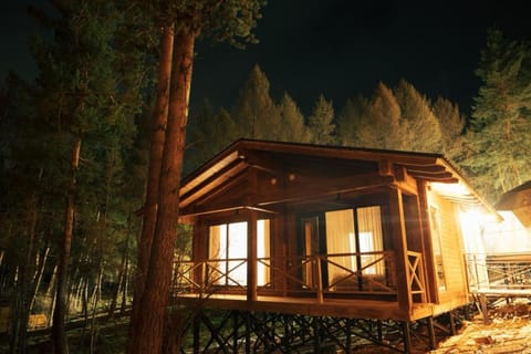 Property building, Night, Natural landscape