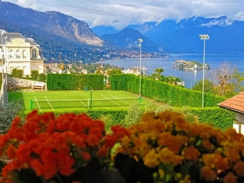 Property view