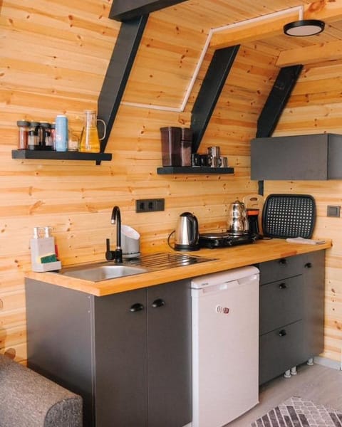 Coffee/tea facilities, Kitchen or kitchenette, stove
